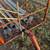 Irrigation pipe trailer 3 thumbnail