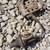 JD 350 Crawler Loader parts 20 thumbnail