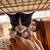 Farm kittens 1 thumbnail