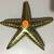 Solid Brass Starfish Door Knocker 3 thumbnail