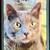 iPhone 7 Plus 7+ Mobile Cell Smart Phone Rose Gold No iCloud Clean ESN 1 thumbnail