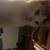 calico cat 3 thumbnail
