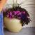 Large Glazed Ceramic Planters – Soft Butter Yellow – Pair 1 thumbnail