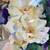 Vintage Phyllis Eymann Wall Art Floral Flowers 6 thumbnail