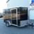 2025 Darkhorse 6 x 10 V-Nose Enclosed Cargo Trailer 1 thumbnail