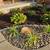 I will do professional landscaping for part trade 1 thumbnail