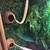 Reptile custom habitat 6 thumbnail