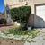 Bella vista landscape. Yard Clean up and trash hauling starting at 45$ 2 thumbnail