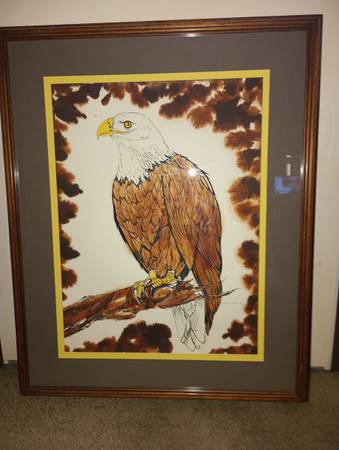 Eagle picture 1