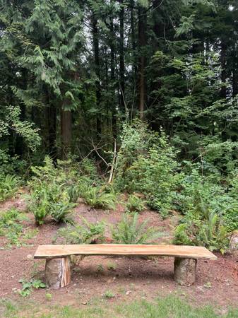Live Edge Benches - $10063435791962243121