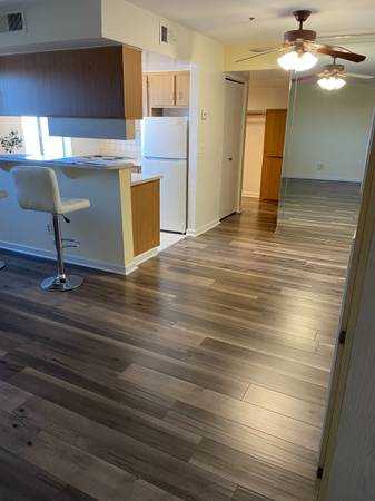 Spacious Studio Condo for Rent 1