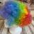 New rainbow color Wig Adult 1 thumbnail