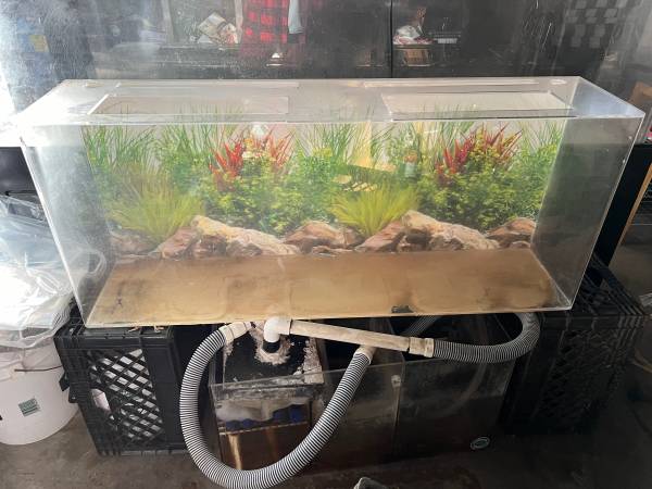 For Sale 50 gallons Acrylic Fish Tank Aquarium built corner overflow 1