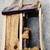 Birdhouse - Never Used - Gnome inspired craftman made 7 thumbnail