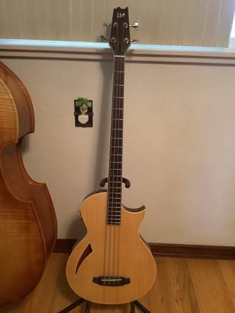LTD Thinline TL-4 Semihollow Bass 1