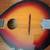 Mandolin for decoration 4 thumbnail
