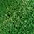 Artificial grass, Artifical turf 2 thumbnail