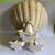 Small Shell Shaped Birdbath/Decorative Bathroom Soap Display 3 thumbnail
