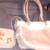 Shoulder Handbag Tan  Suede Ivory Fur Trim with Attached Coin Purse 1 thumbnail