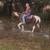 Qh mare 1 thumbnail