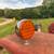 1972 International 454 Tractor w/Loader 15 thumbnail