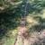 110 feet of metal lawn edging - used 1 thumbnail