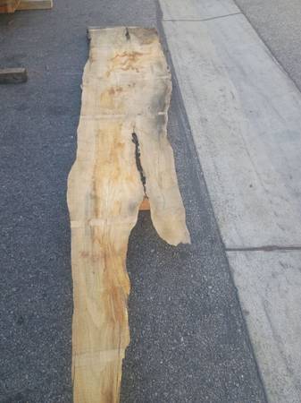 White Ash Live Edge Slab 105" x 26" x 3"