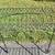 Nice Wrought Iron Shelf Plant Stand Display 8 thumbnail