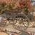 Buckboard spring wagon 1 thumbnail