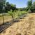 Landscaping & Lawn Care /Paver patio, Retaining Walls & More! 24 thumbnail