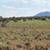 39.75 acres   *   Parcel 654   *   $48,000 5 thumbnail