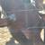Brahma Bull 2 thumbnail