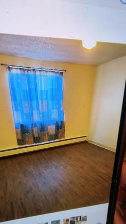 $750 / 2br - 200ft2 - Room for rent in apt. (Denver)63920603563266123