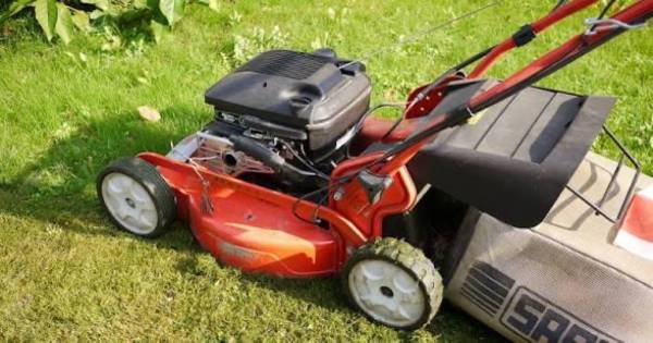 Lawnmower wanted 1