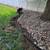 Miguel's yard clean up.mowing.gutter.cleaning 6 thumbnail