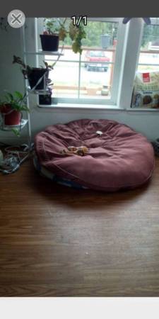 Large dog bed 1