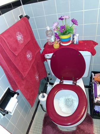 $700 / 1br - Furnished Bedroom/Shared Kitchen & Bath (Jamaica)63945499718147122