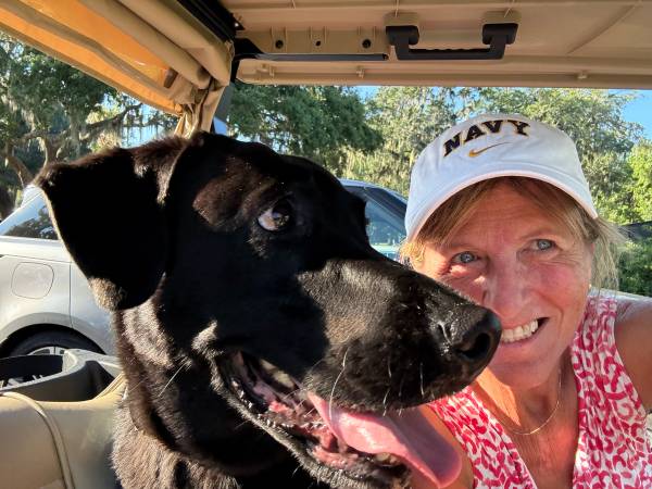 Mature woman looking for a room to rent 1
