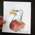 Original Bald Eagle Illustration - Hand-Signed 7x8 Watercolor & Ink 1 thumbnail