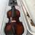 New viola musical instruments 1 thumbnail