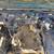 Suzuki Samurai parts for sale or trade for (fill in the blank) 4 thumbnail