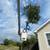 Tree service tree removal 6 thumbnail