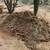 FREE - Fresh Horse Manure for Fertilizer 3 thumbnail