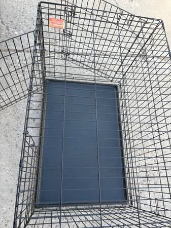 Dog Crate 1