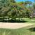 14 x 13 Room for rent in a 2BR 2BA 1226 sq. ft. quiet condo, Belsera 7 thumbnail