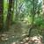 Plymouth: Beautiful End-Unit Townhome In Chelsea Woods 22 thumbnail