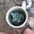 Parryi Agave 1 thumbnail
