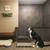 All your space needs covered! Walk in closets and more! 13 thumbnail