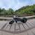 1999 harley Davidson xl1200s sportster 2 thumbnail