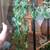 Reptile Enclosure 3 thumbnail